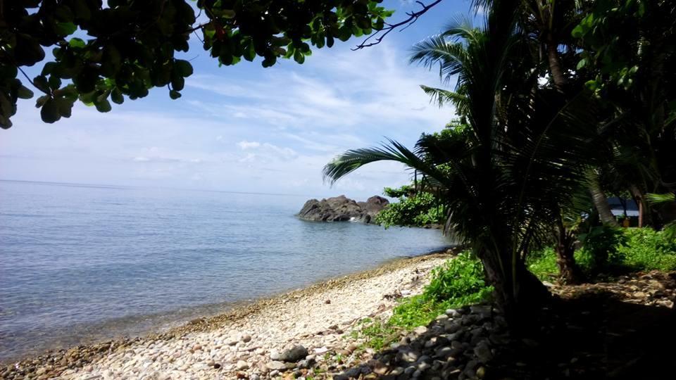 Paradise Palms Koh Chang Esterno foto