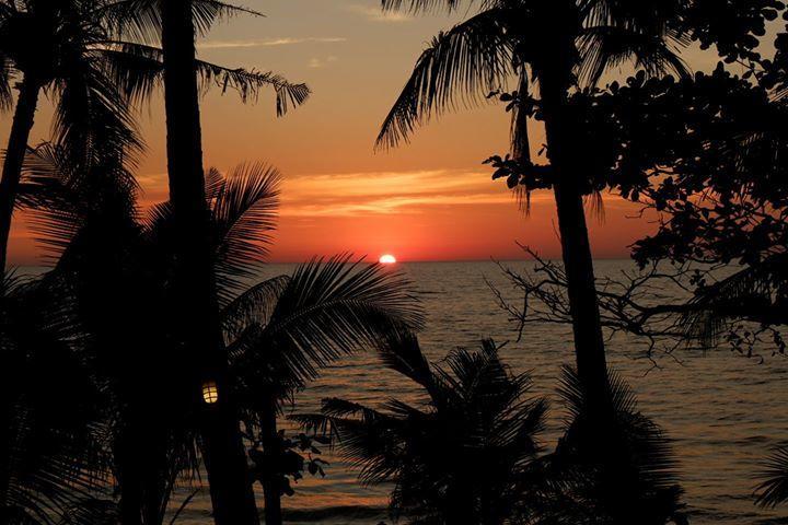 Paradise Palms Koh Chang Esterno foto